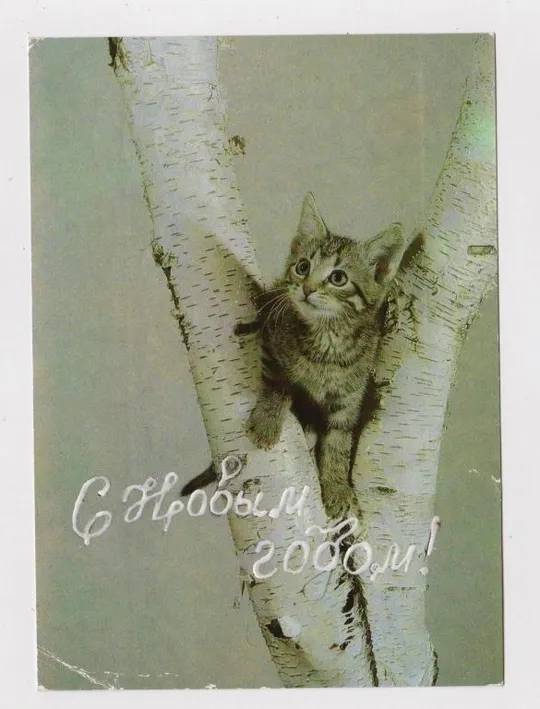 КОТЕНОК - КОТ = С НОВЫМ ГОДОМ = 1987 г. =  ГДР - ГЕРМАНИЯ = п/п # Ціна