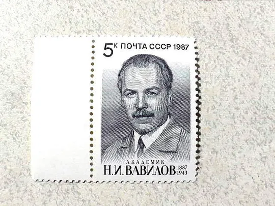 Поштова марка СССР " 100 років від дня народження М. І. Вавілова " 1987 рік ** Ціна