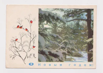 фото, С НОВЫМ ГОДОМ = ДМПК 1969 г. = ФИЛИППОВ, РАСКИН = чистая #