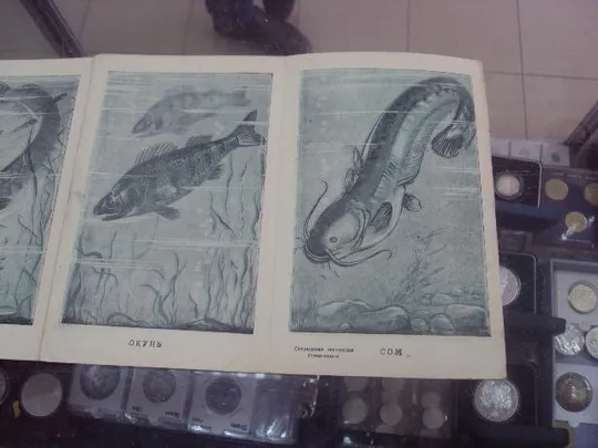 Купити книга н.я.бабич рыбы сотрудник 1947 №76