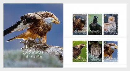 фото, Гибралтар-Хищные Птицы-2024. Чистый полный комплект - Пр.Пакет.MNH.