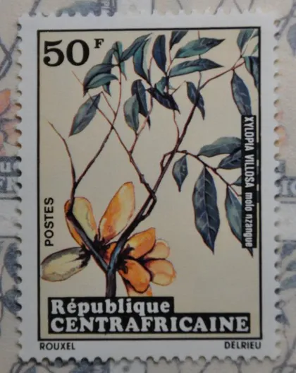 фото, ЦАР Флора Цветы 1973