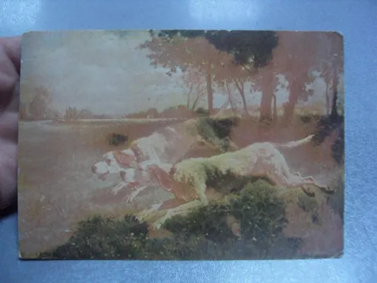 открытка собаки на охоте №1664 Продаж