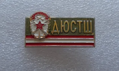 фото, (ЗН11) Значок ДОСААФ ДЮСТШ (різновид)