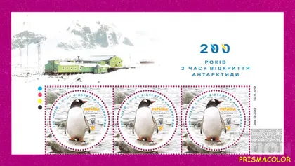 фото, ** УКРАИНА 2020 верх листа 200 лет открытия Антарктиды Пингвин ЛИТЕРА V