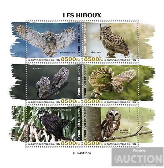 Гвинея -Птицы - Совы -2024. Чистый полный красивый комплект. MNH. З аукціону