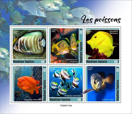 Того-Рыбы-2024.Чистый полный красивый комплект-М/лист.MNH. Ціна