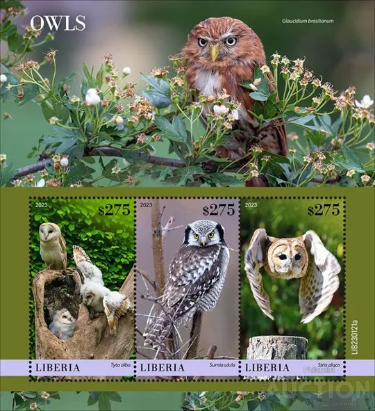 Либерия - Птицы - Совы -2023. Чистый полный красивый комплект. MNH. Ціна