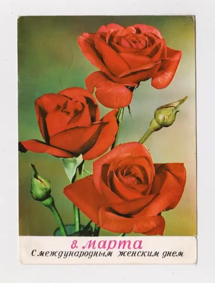 фото, 8 МАРТА - РОЗЫ = 1970-е гг. = ГДР - ГЕРМАНИЯ = п/п #