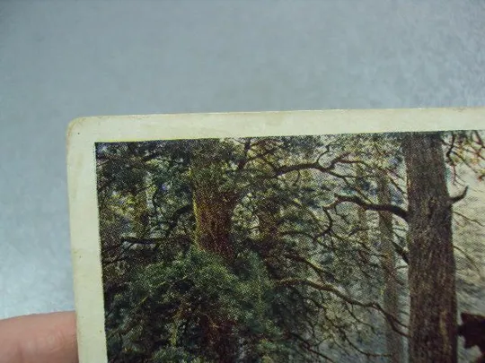 открытка утро в сосновом бору 1957 шишкин №9003 З аукціону