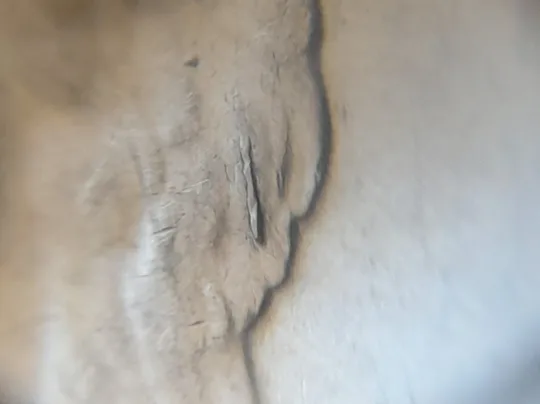 (7456) 2 гривні 2023 гарні викрошки на реверсі (2 гривні 2023 брак) З аукціону