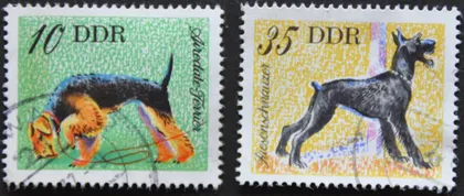 фото, ГДР Собаки 1976