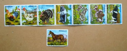 фото, ФАУНА - ДОМАШНІ ТВАРИНИ = 1976 р. = ПАРАГВАЙ = гаш.