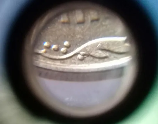 (323) 10 копійок 2013 викрошка на вінку між 4 та 5 гронами - 2 монети одним лотом (10 копеек 2013 брак) З аукціону