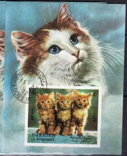 фото, Шарджа Фауна Коты 1972