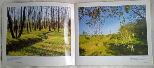 Купити Фотоальбом про Ірпінь "Ірпеня повітря поетичне" Вадим Квятковський 2008 р