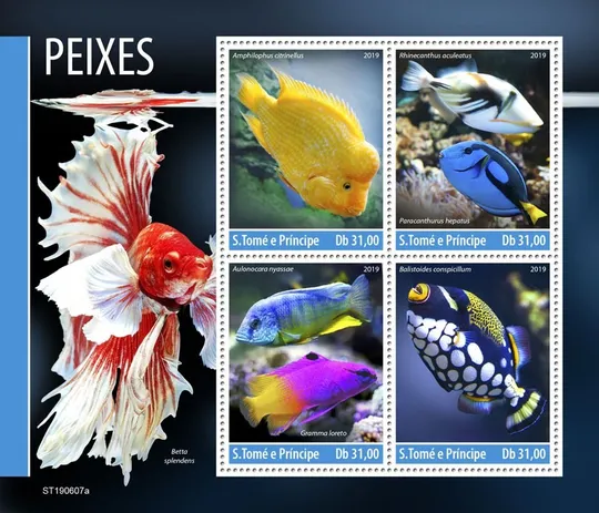 Купити Сан Томе и Принсипи-Рыбы-2019. Чистый полный красивый комплект. MNH.