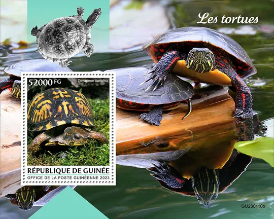 Гвинея- Черепахи-2023.Чистый полный красивый комплект.MNH. Ціна