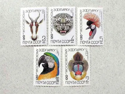 фото, Серія поштових марок СССР " Фауна " 1984 рік **