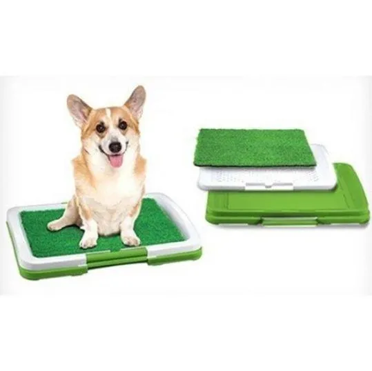 Туалет лоток для собаки 47х34х6 см, туалет для собаки в квартире Продаж