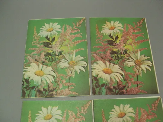 Купити Открытка телеграмма цветы ромашки фото Г. Костенко 1985 и 1986 год лот 4 шт №16158