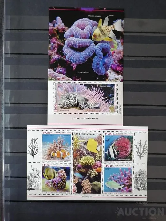 Гвинея-Кораллы и Рыбы-2023.Чистый полный красивый комплект. MNH. Ціна