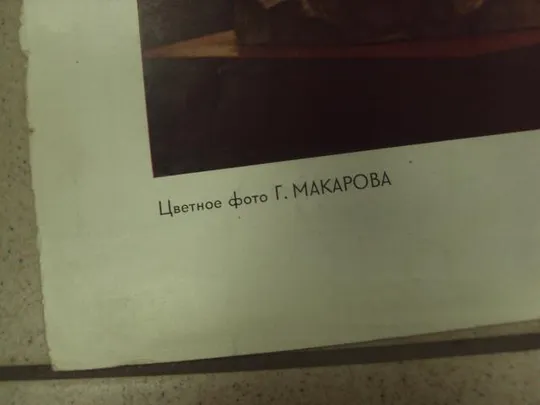 Купити литографии  макаров ленин, шагин близ станции разлив №8342