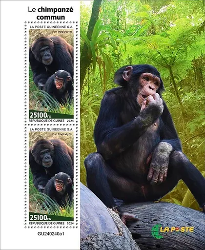 фото, Гвинея-Шимпанзе-2024. Чистый полный красивый комплект. MNH.