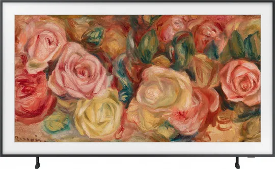 Телевізор LED Samsung QE65LS03DAUXUA Ціна