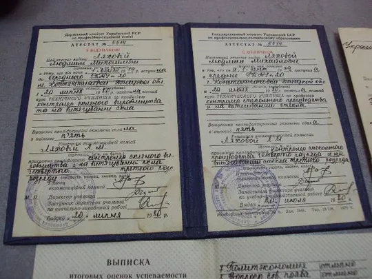 документ выписка аттестат с отличием константиновка гпму №20 1980 №4382 Продаж