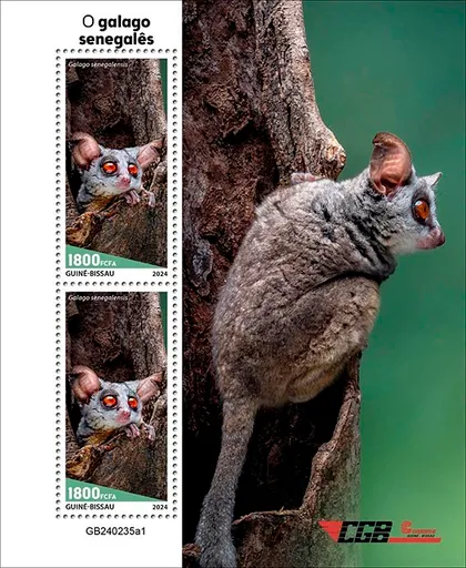 фото, Гвинея Бисау-Сенегальский Галаго-2024. Чистый полный комплект.MNH.