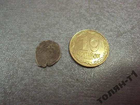 монета чешуйка чешуя серебро №1103 Ціна