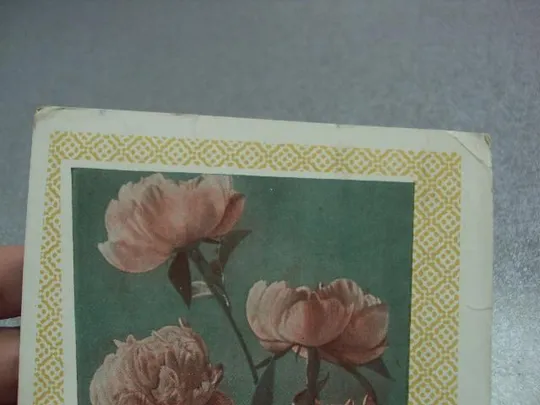 Купити открытка с праздником 1963 круглов почта штамп №10992