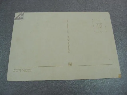 открытка анютины глазки германа 1971 №12467 Де купити