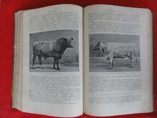 Промисловість та техніка. Т IV. Сільське господарство. 1904р. Інтернет-аукціон