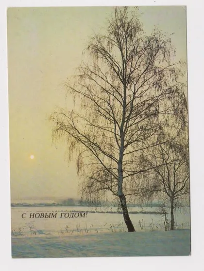 фото, С НОВЫМ ГОДОМ = 1984 г. = ДЕЙКИН = чистая #