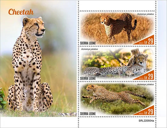 Того - Леопарды-2022.Чистый полный красивый комплект.MNH. З аукціону