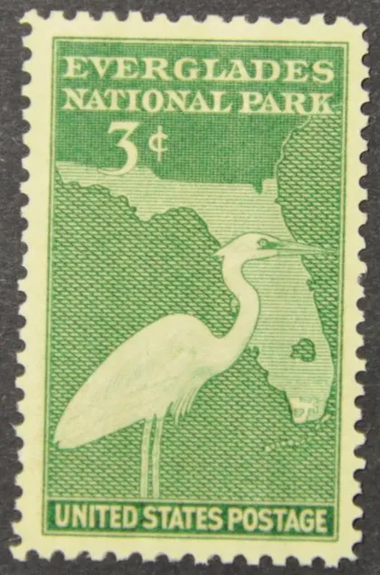 фото, США Фауна птицы 1947