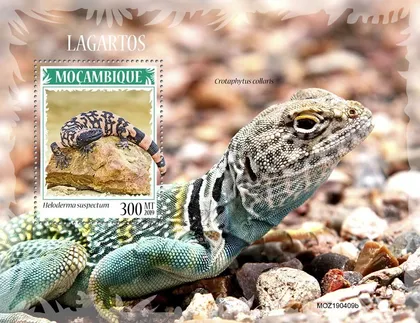 фото, Мозамбик-Ящерицы-2019. Чистый полный красивый комплект. MNH.