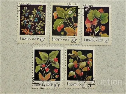 фото, Серія поштових марок СССР " Флора " 1982 рік