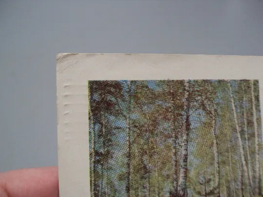 Открытка С праздником! 1964 г фото Г.М. Соловьева, худ. И.Я. Дергилева, ред. П.А. Бальчевский №16006 Продаж