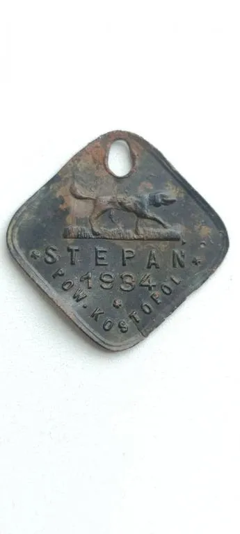 Редкий собачий жетон 1934 год костополь Степан  sk566 Ціна