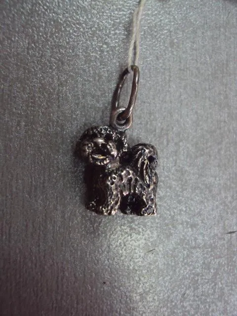 Купити подвеска кулон собака щенок собачка пудель серебро 925 проба вес 4,84 г