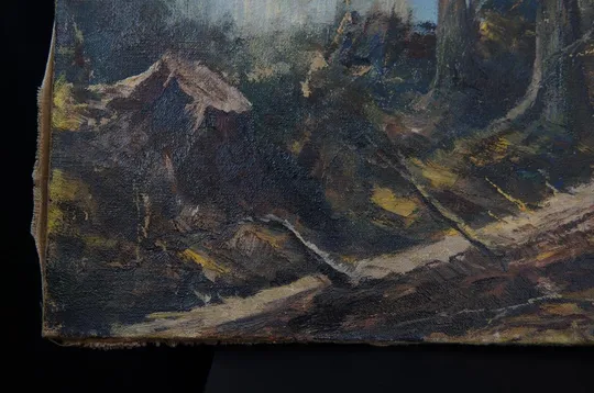 Картина Пейзаж лес, деревья, подписная F.S. Холст масло 65,5 х 50 см №220 Продаж