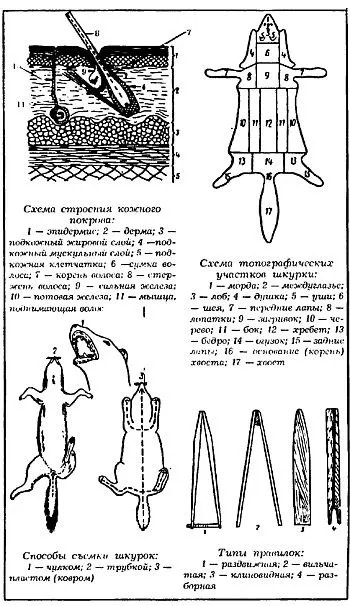 Все об охоте - 2 тома - *.pdf Продаж