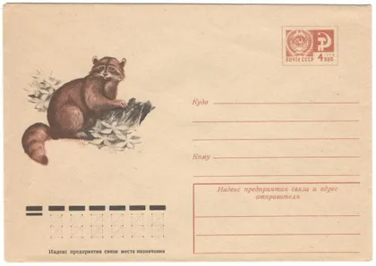 фото, Енот - полоскун. ХМК. 1974 рік. СРСР