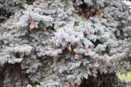 Купити Автомобільний освіжувач повітря з парфумованою олією з логотипом exus