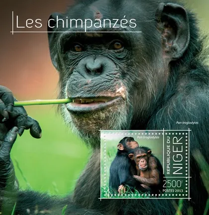 фото, Нигер-Обезьяны-Шимпанзе-2013. Чистый полный красивый комплект. MNH.