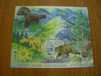 фото, 2009.Заповідник Горгани