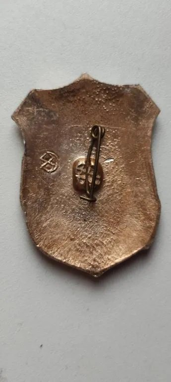 Значок знак дружинник СССР dr925 З аукціону